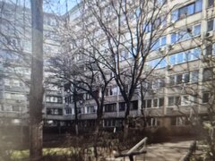 Ultracentral Cismigiu-Sala Palatului